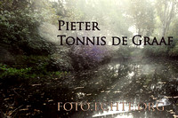 Pieter Tonnis de Graaf foto homepage